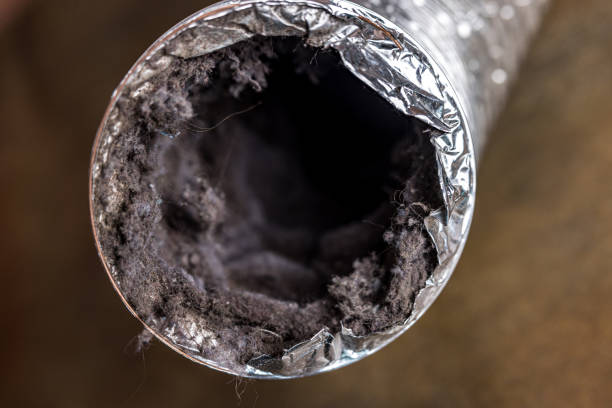 Best Commercial HVAC Duct Cleaning  in Lakeview, WA