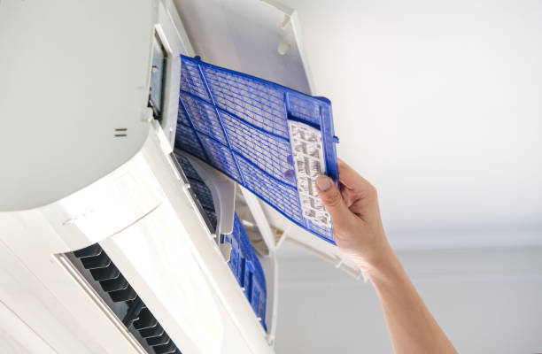 Best Professional Duct Cleaning Services  in Lakeview, WA