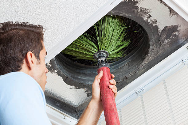Best Air Duct Cleaning Company Near Me  in Lakeview, WA