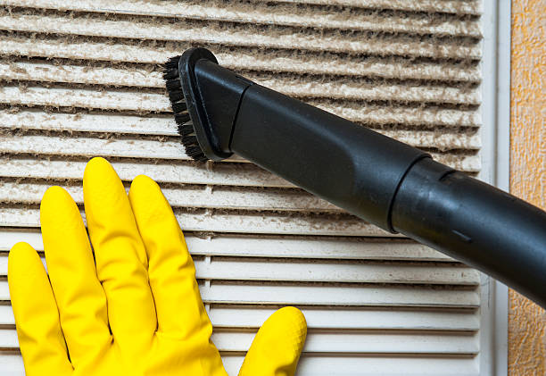 Best Best Air Duct Cleaning Company  in Lakeview, WA