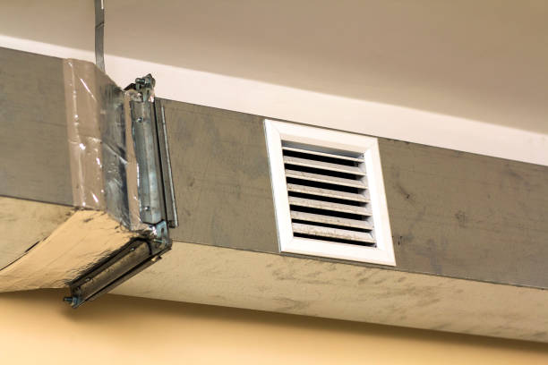 Best Affordable Duct Cleaning Services  in Lakeview, WA